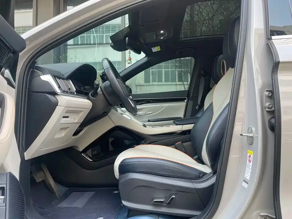 BYD PLUS New Energy 2023 из CN, фото 3