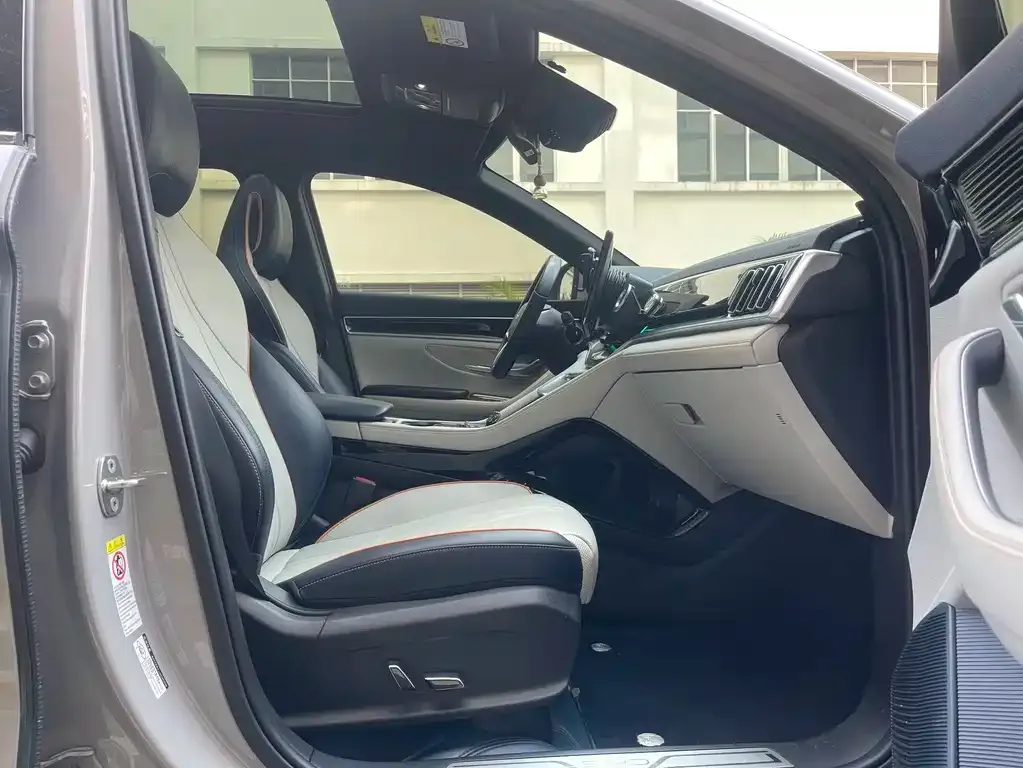 BYD PLUS New Energy 2023 из CN, фото 2