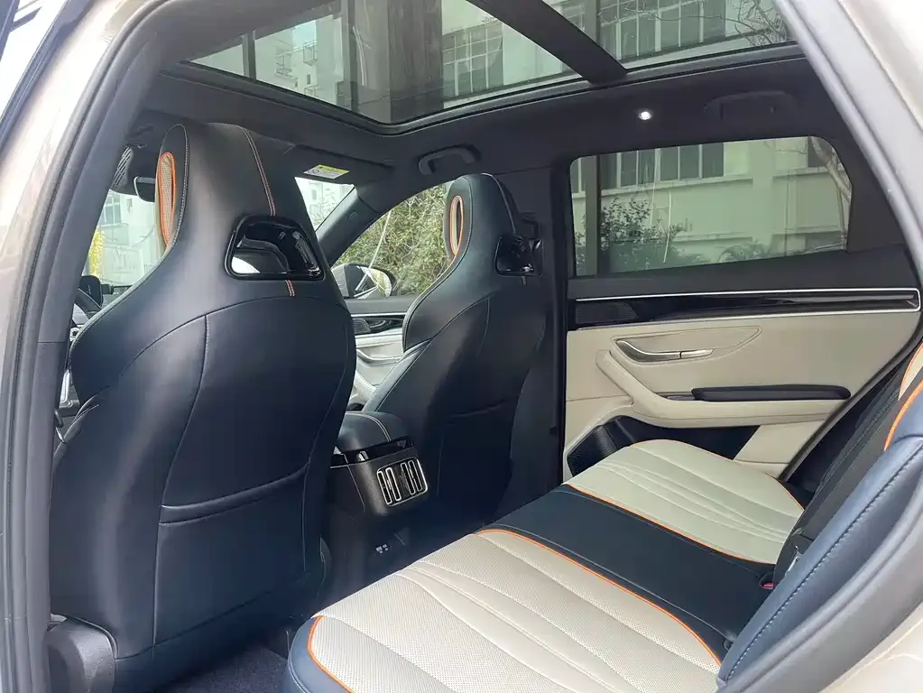 BYD PLUS New Energy 2023 из CN, фото 4