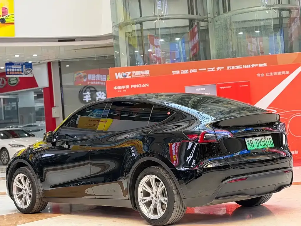 Tesla Model Y 2023 из CN, фото 10