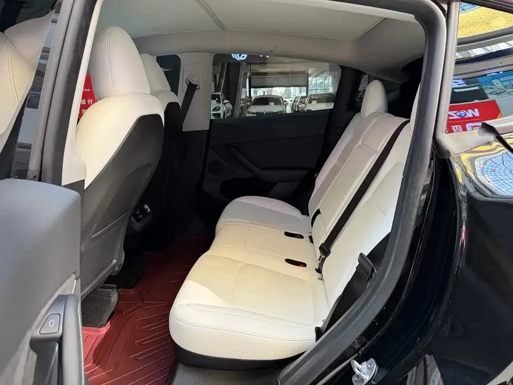 Tesla Model Y 2023 из CN, фото 6