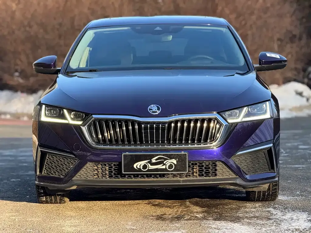 Skoda Octavia 2022 из CN, фото 8