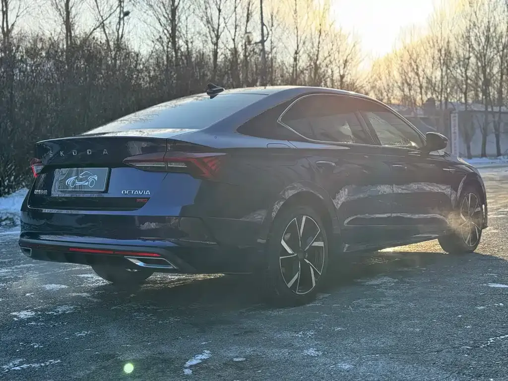 Skoda Octavia 2022 из CN, фото 7