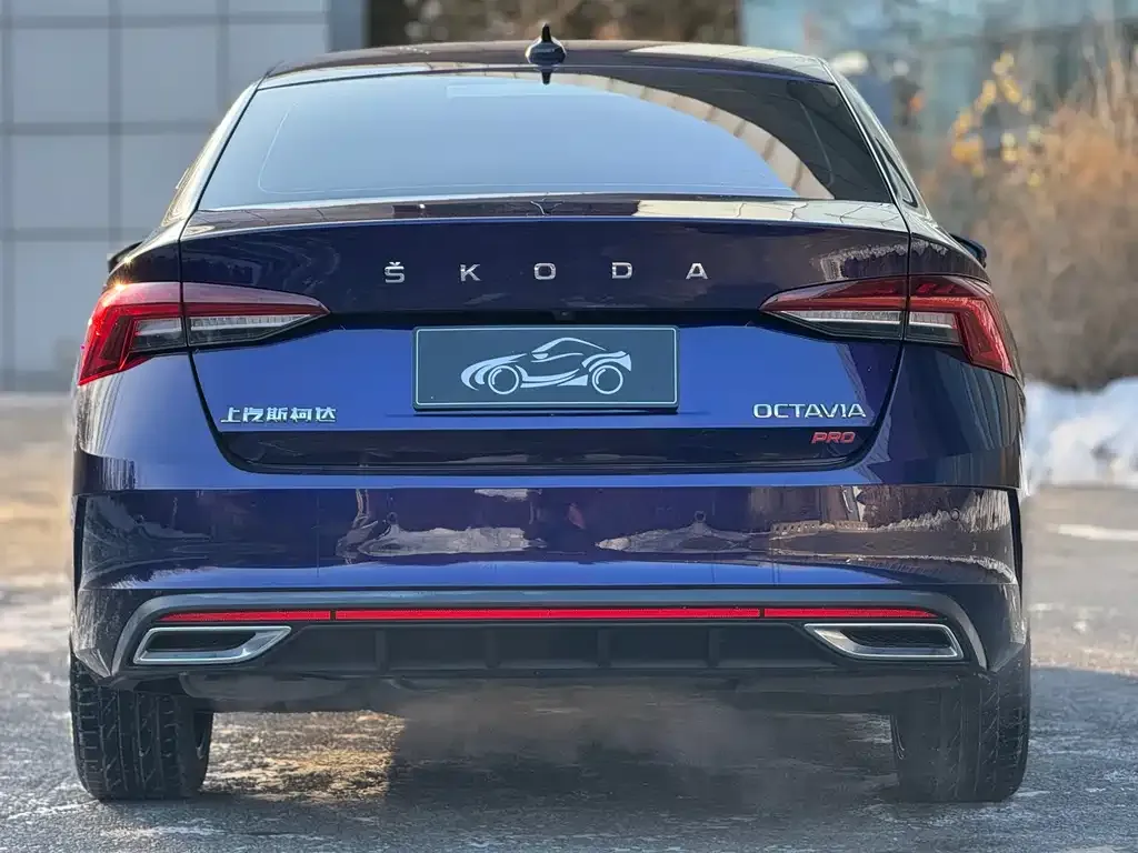 Skoda Octavia 2022 из CN, фото 5