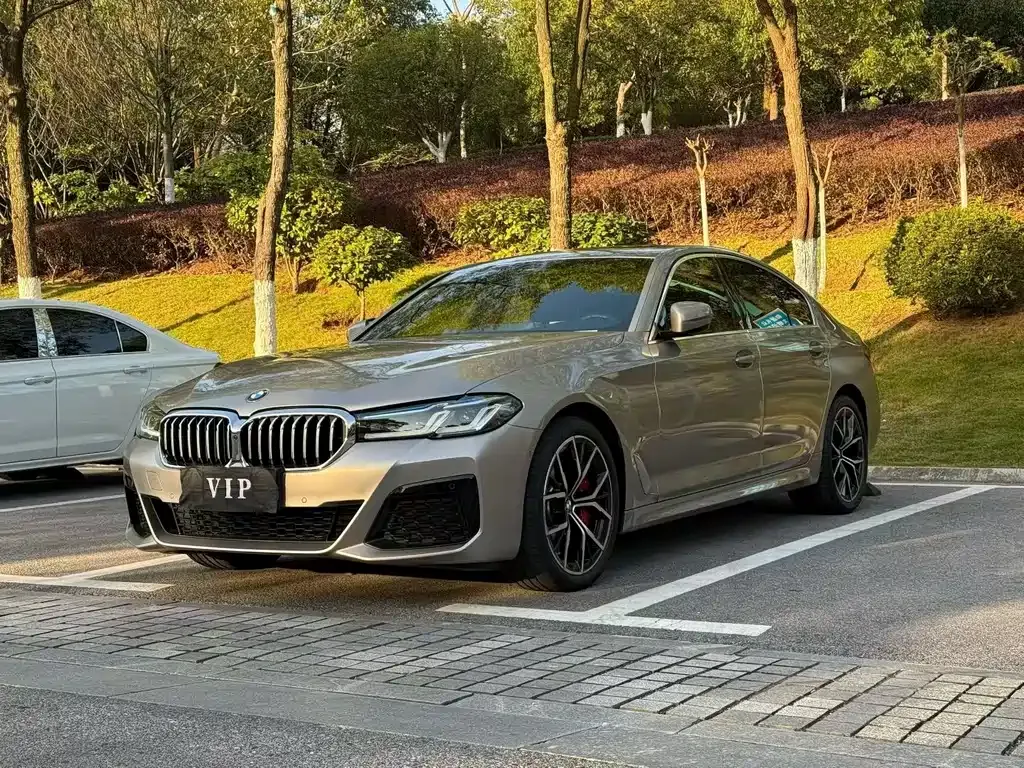 BMW 5 Series (Import) 2021 из CN, фото 1
