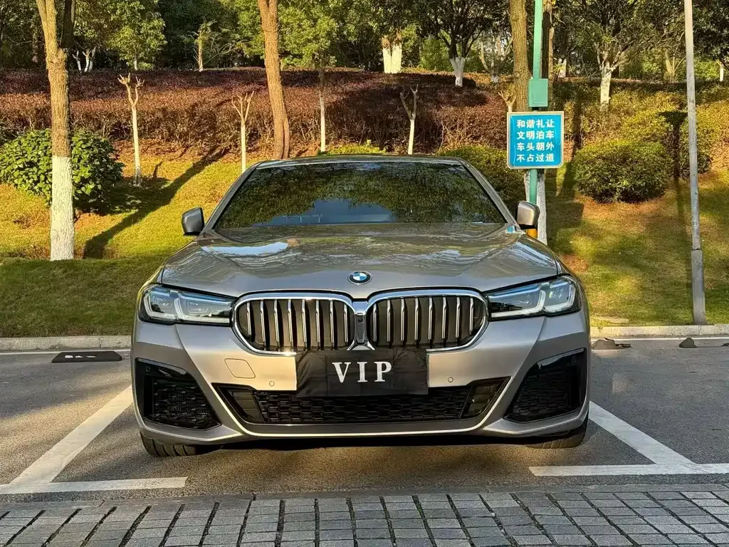 BMW 5 Series (Import) 2021 из CN, фото 8