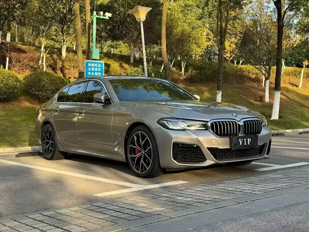 BMW 5 Series (Import) 2021 из CN, фото 6