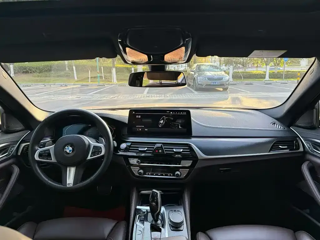 BMW 5 Series (Import) 2021 из CN, фото 2