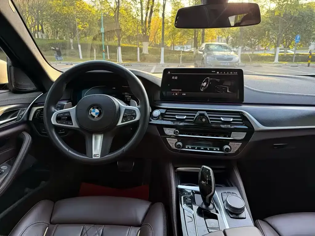 BMW 5 Series (Import) 2021 из CN, фото 7