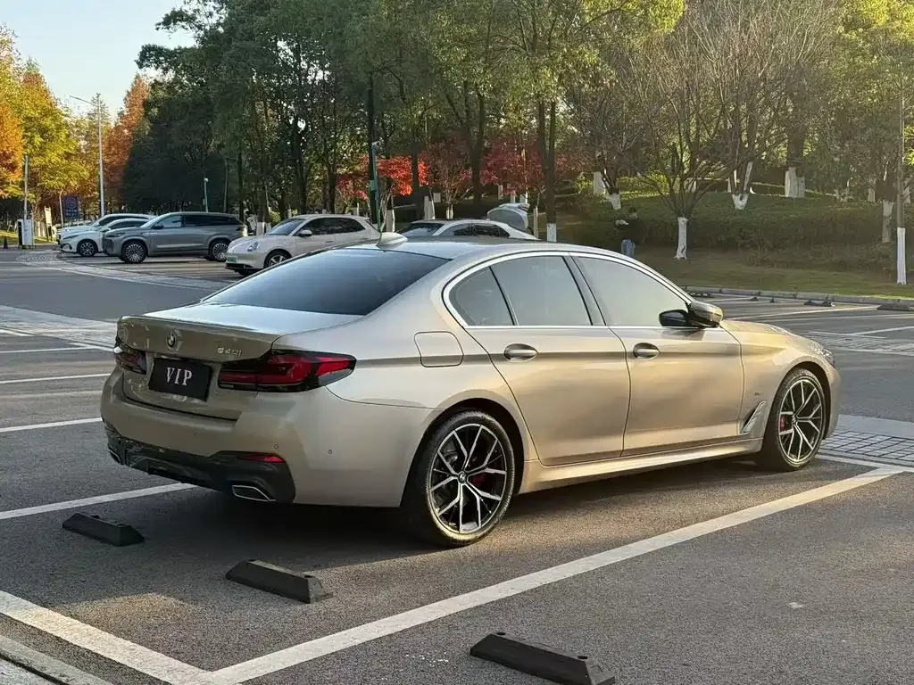 BMW 5 Series (Import) 2021 из CN, фото 9