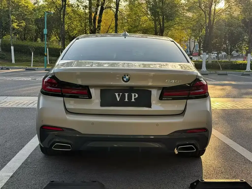 BMW 5 Series (Import) 2021 из CN, фото 5