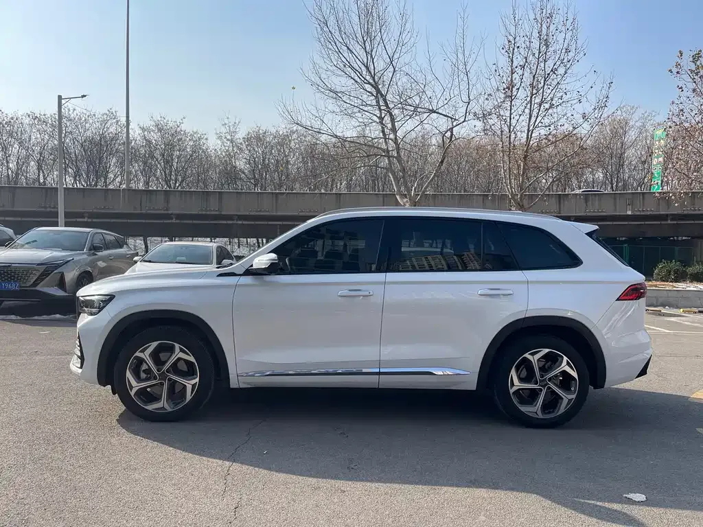 Geely Xingyue L 2024 из CN, фото 3