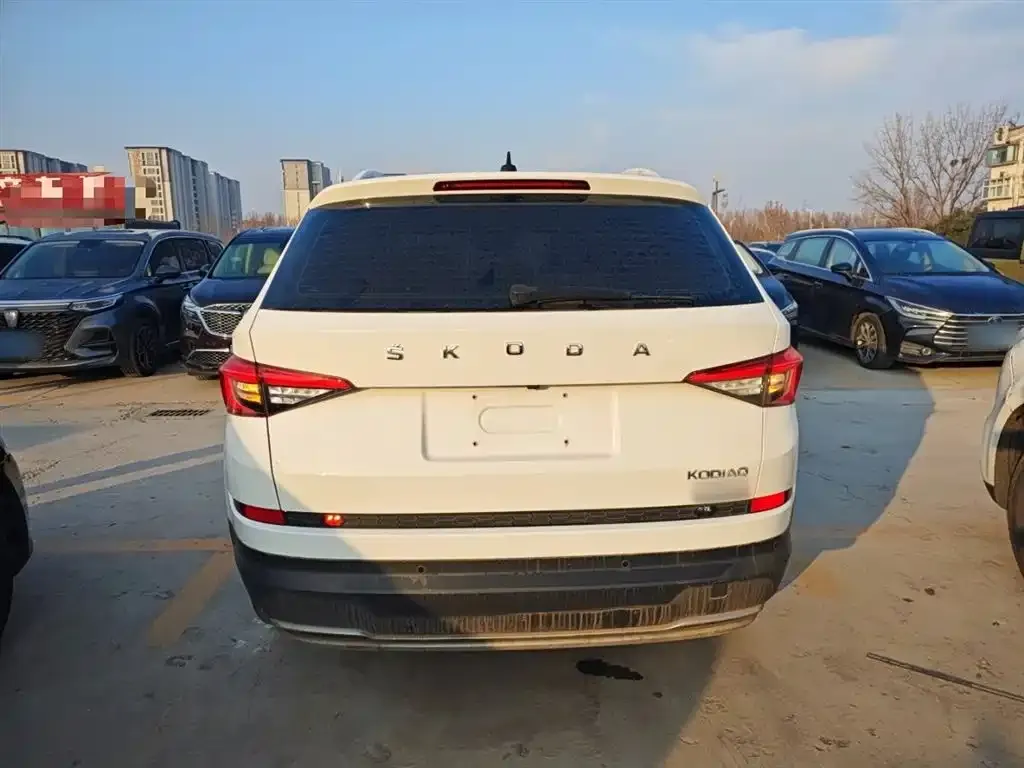 Skoda Kodiaq 2022 из CN, фото 7