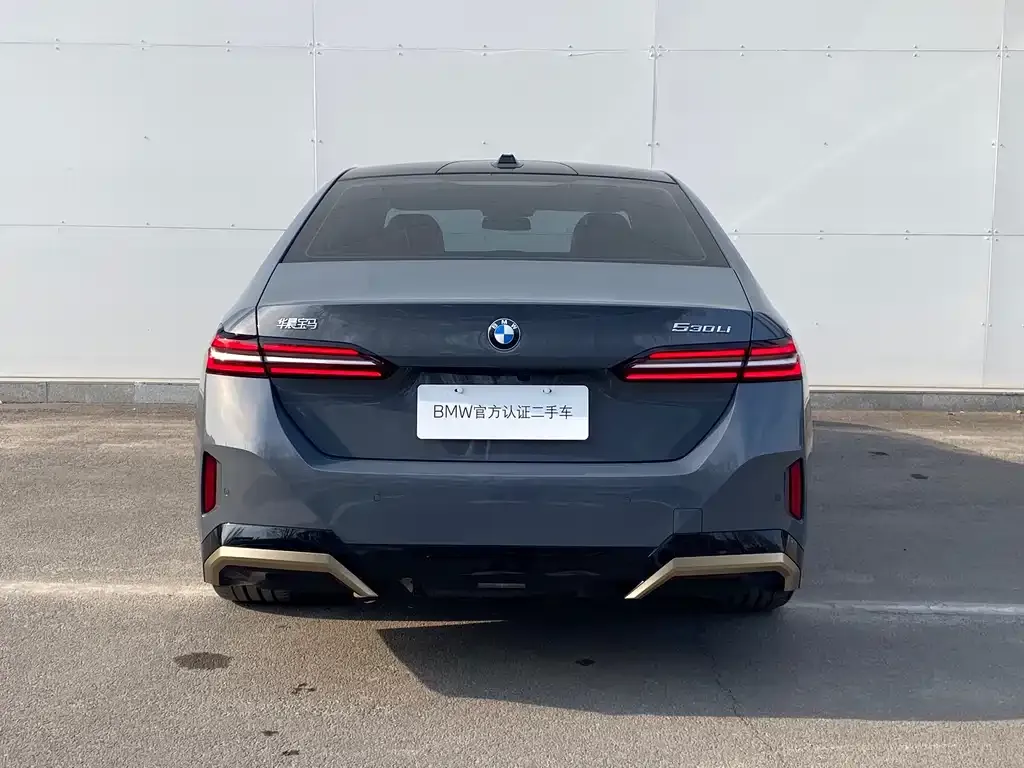 BMW 5 Series 2025 из CN, фото 9