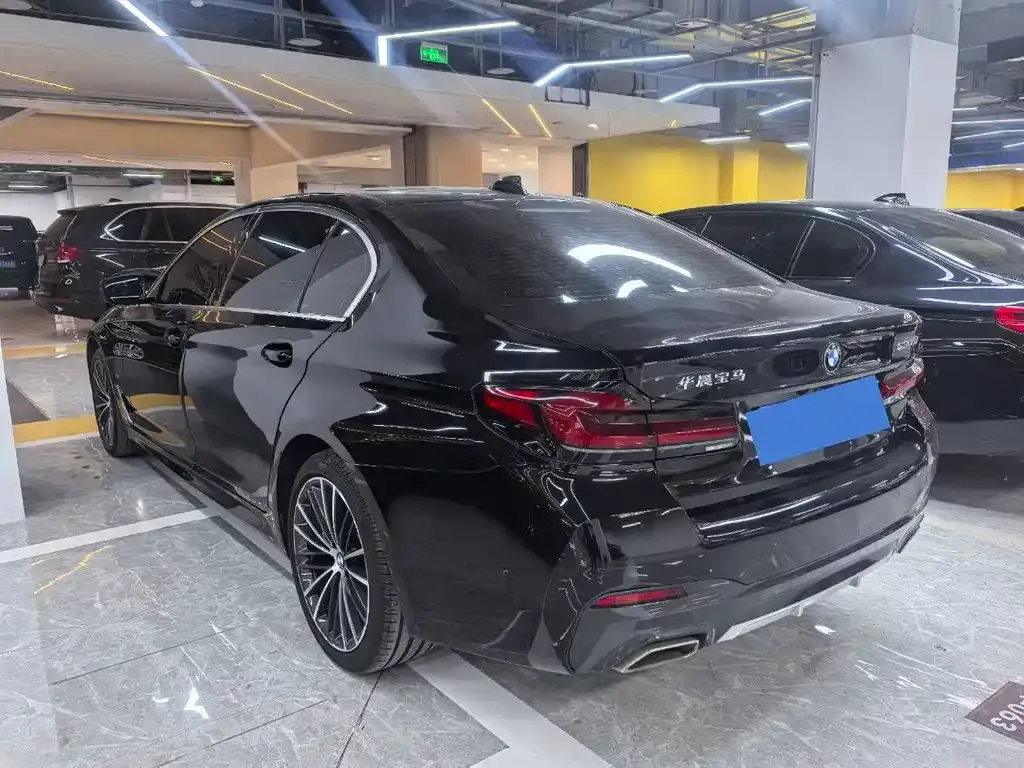 BMW 5 Series 2021 из CN, фото 2