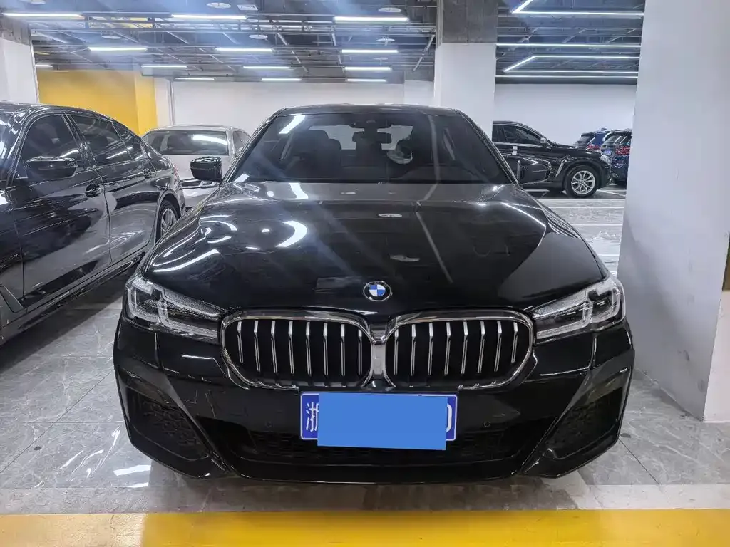 BMW 5 Series 2021 из CN, фото 5