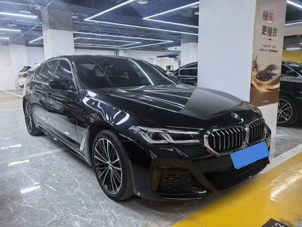 BMW 5 Series 2021 из CN, фото 3