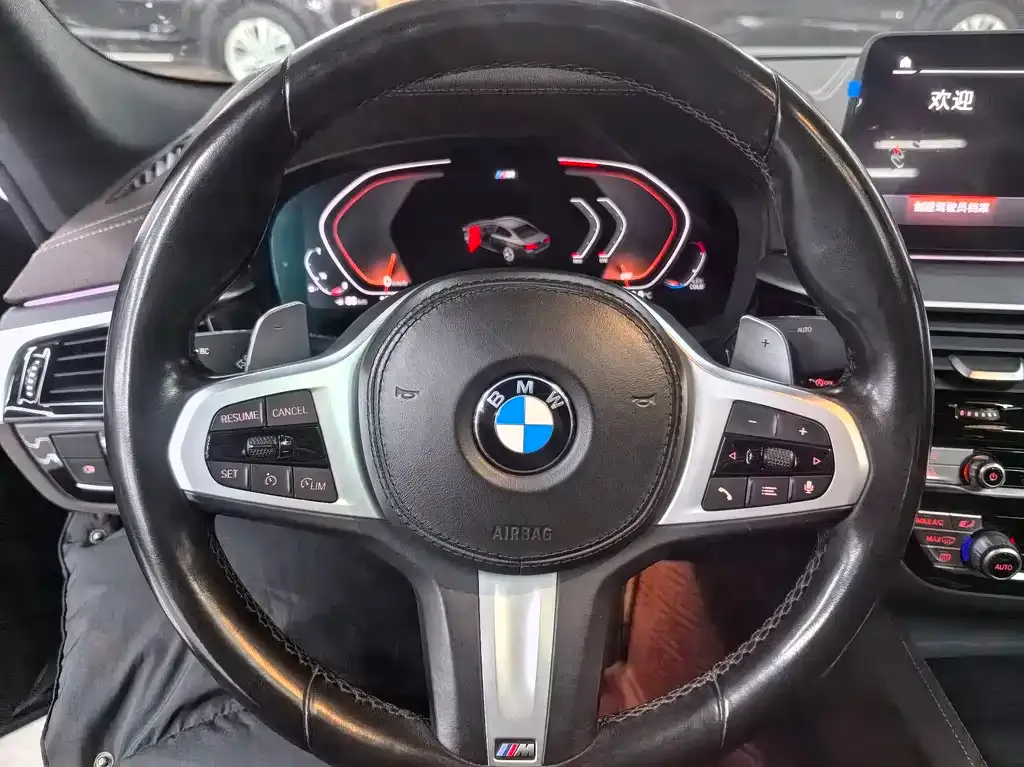 BMW 5 Series 2021 из CN, фото 7