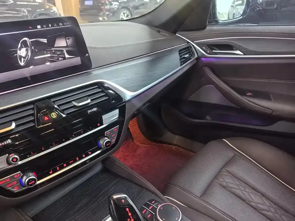 BMW 5 Series 2021 из CN, фото 8