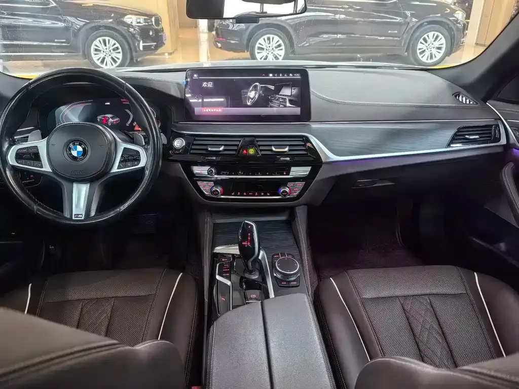 BMW 5 Series 2021 из CN, фото 10