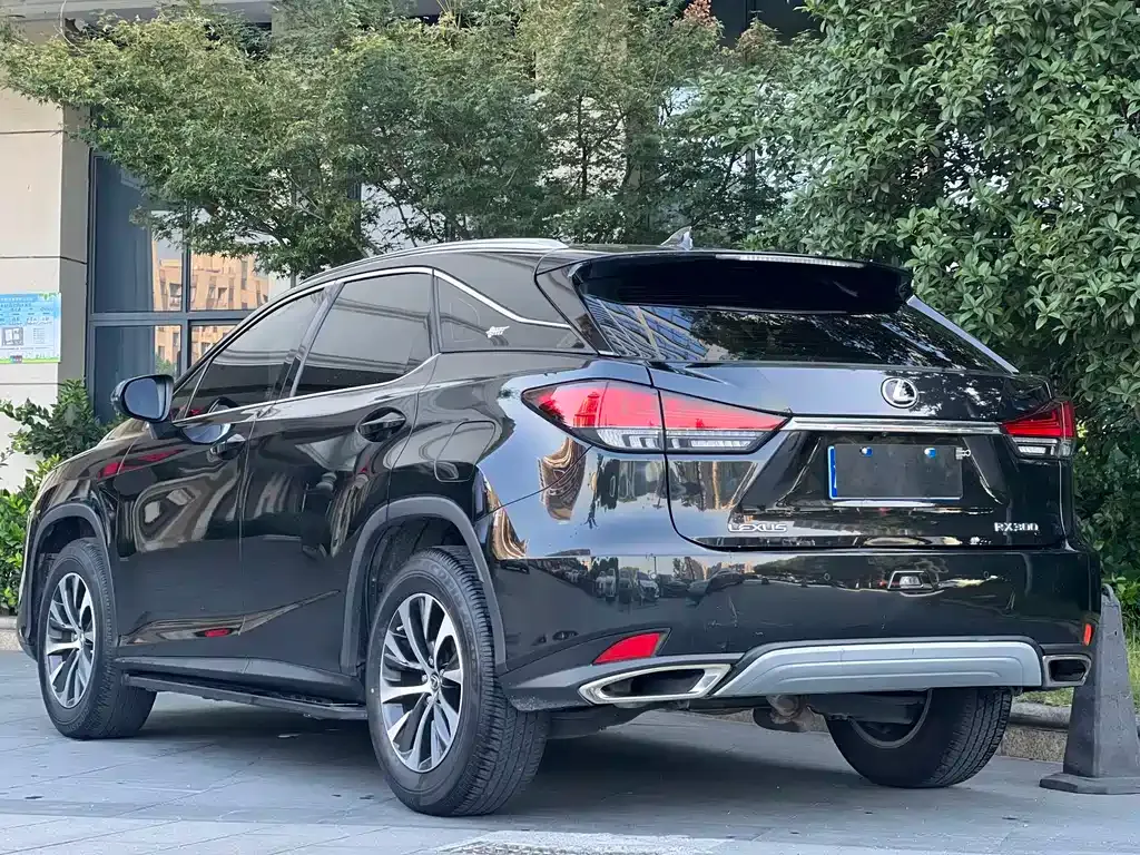 Lexus RX — фото 6