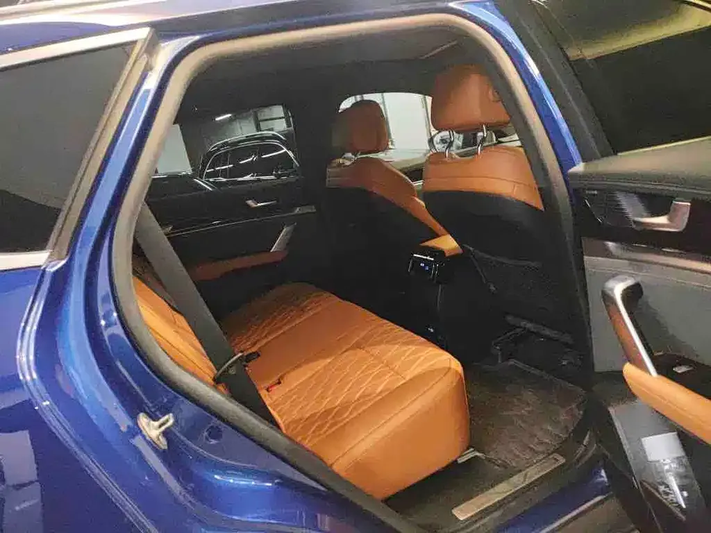 BYD Tang New Energy 2023 из CN, фото 3