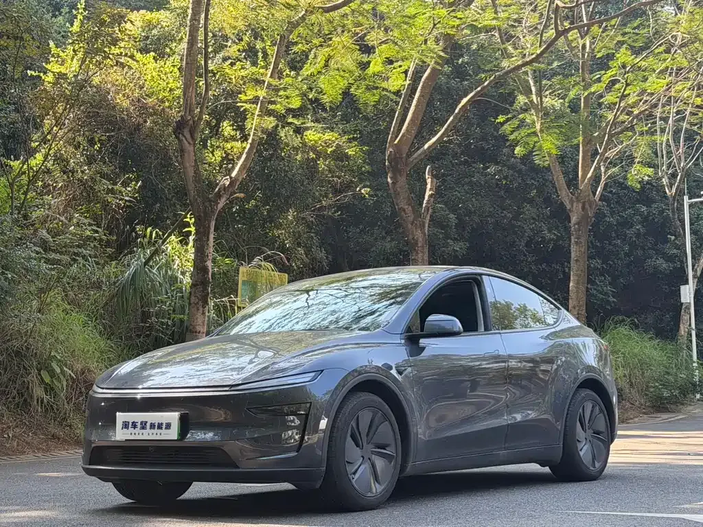 Tesla Model Y 2025 из CN, фото 1