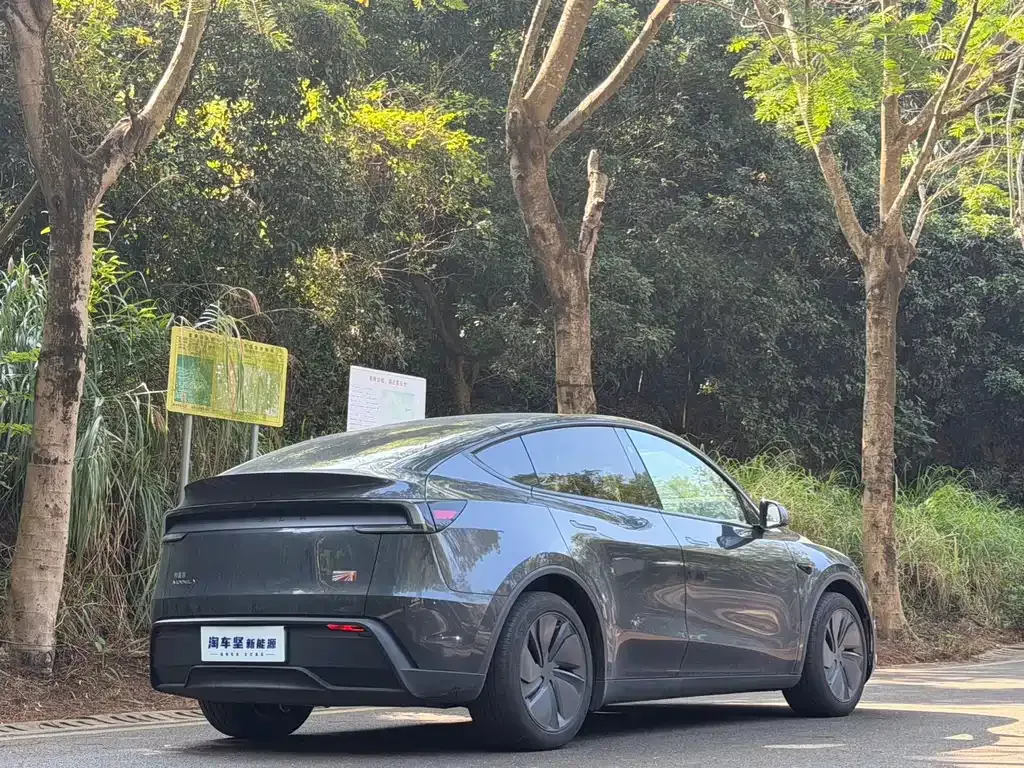 Tesla Model Y 2025 из CN, фото 5