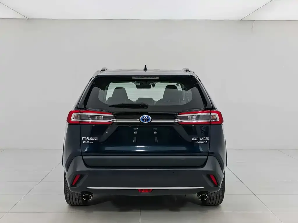 Toyota Wildlander 2023 из CN, фото 8