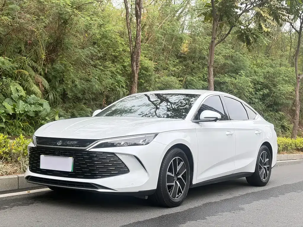 BYD Qin L 2024 из CN, фото 1