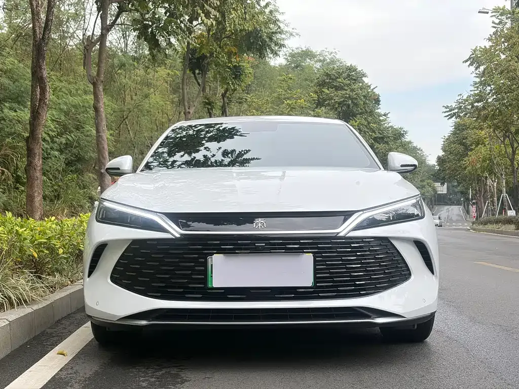 BYD Qin L 2024 из CN, фото 5