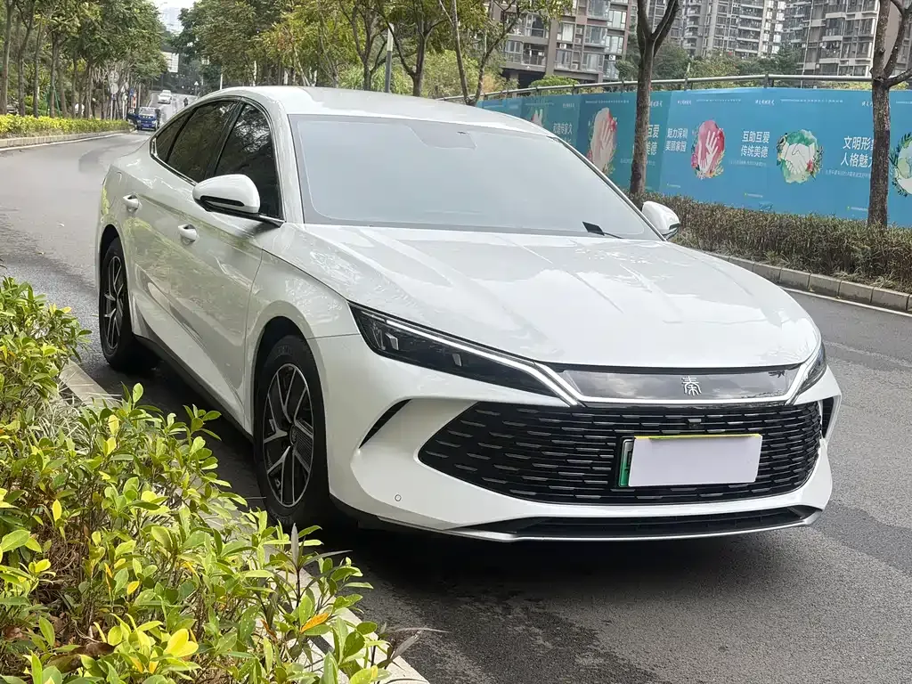 BYD Qin L 2024 из CN, фото 8