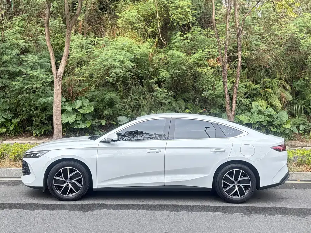 BYD Qin L 2024 из CN, фото 7