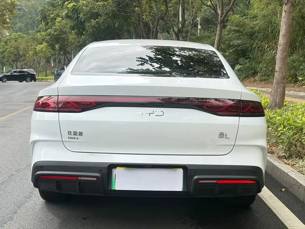BYD Qin L 2024 из CN, фото 3