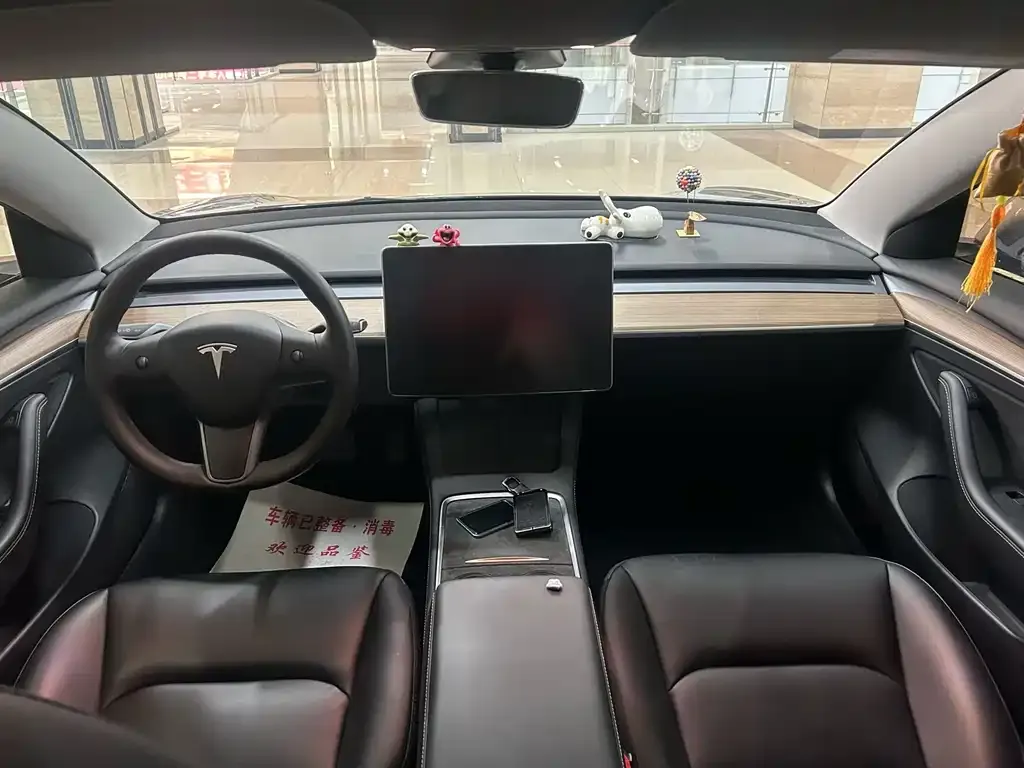 Tesla Model 3 2023 из CN, фото 5