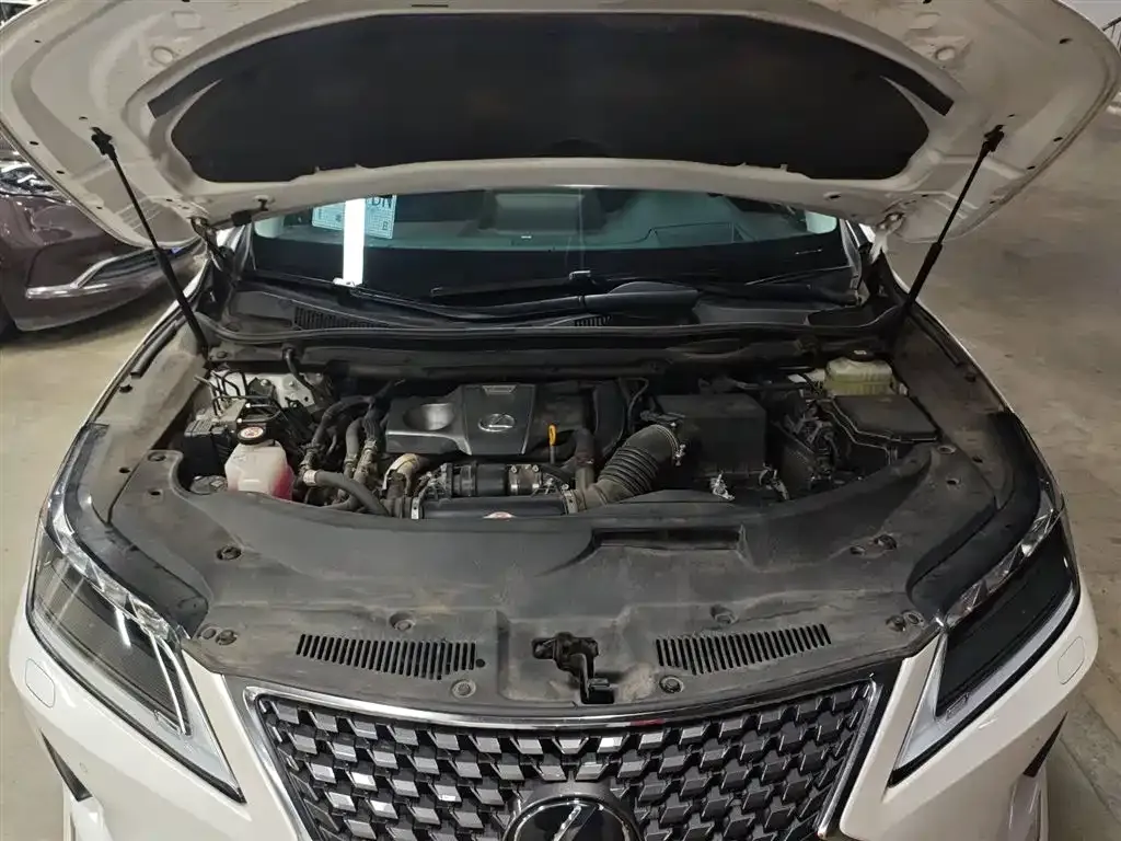 Lexus RX 2023 из CN, фото 10
