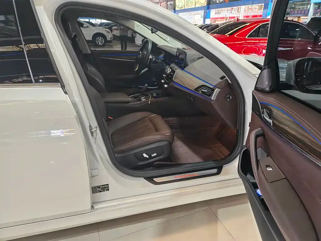 BMW 5 Series 2022 из CN, фото 4