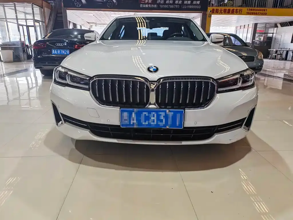 BMW 5 Series 2022 из CN, фото 2