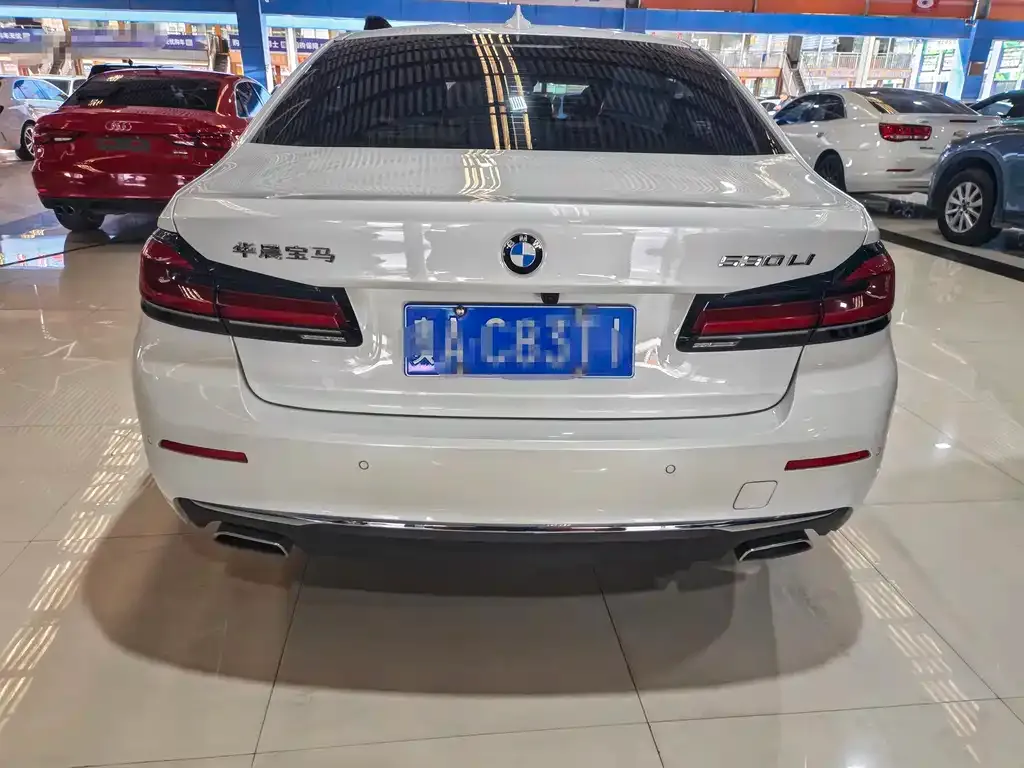 BMW 5 Series 2022 из CN, фото 3