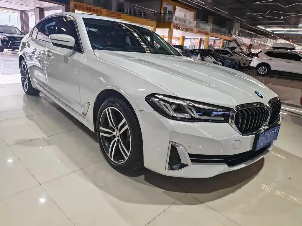 BMW 5 Series 2022 из CN, фото 9
