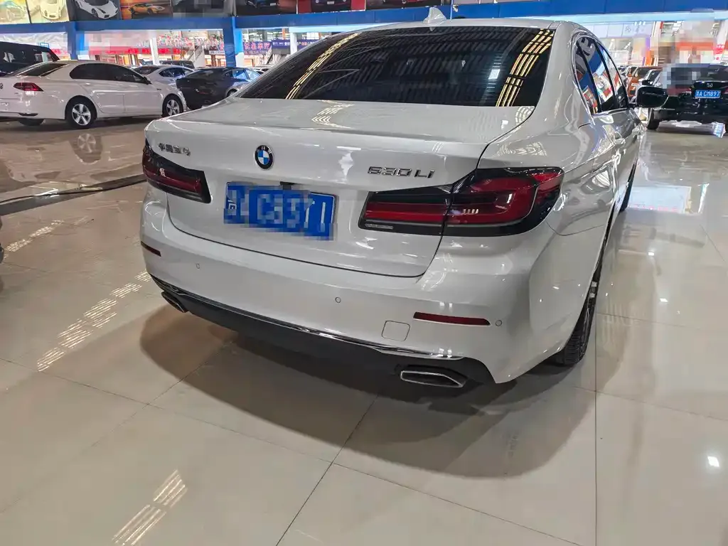 BMW 5 Series 2022 из CN, фото 10