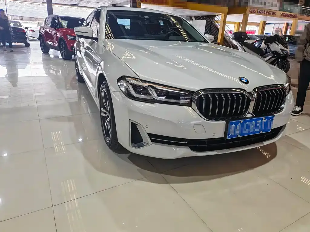 BMW 5 Series 2022 из CN, фото 7