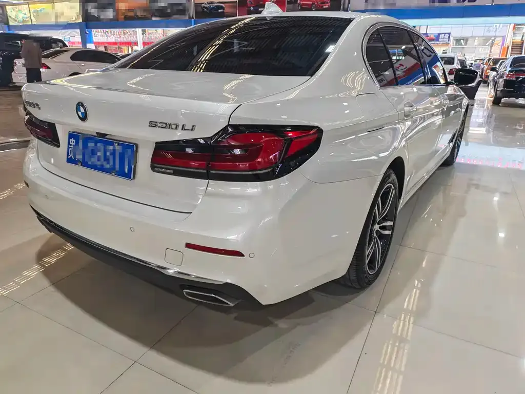 BMW 5 Series 2022 из CN, фото 8
