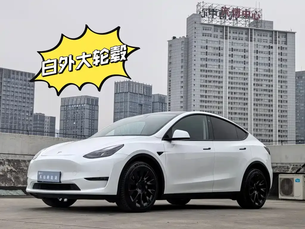 Tesla Model Y 2022 из CN, фото 1