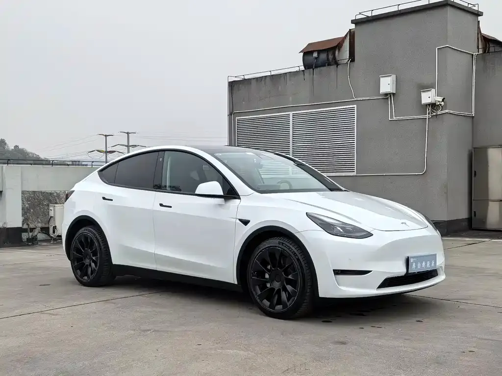 Tesla Model Y 2022 из CN, фото 7