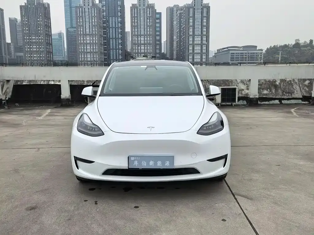 Tesla Model Y 2022 из CN, фото 8