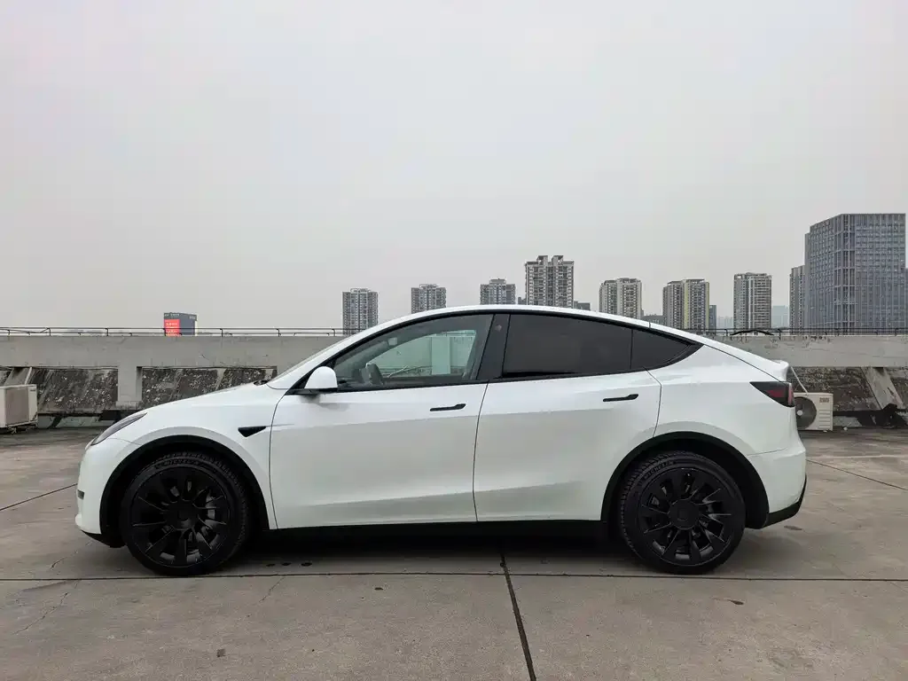 Tesla Model Y 2022 из CN, фото 2