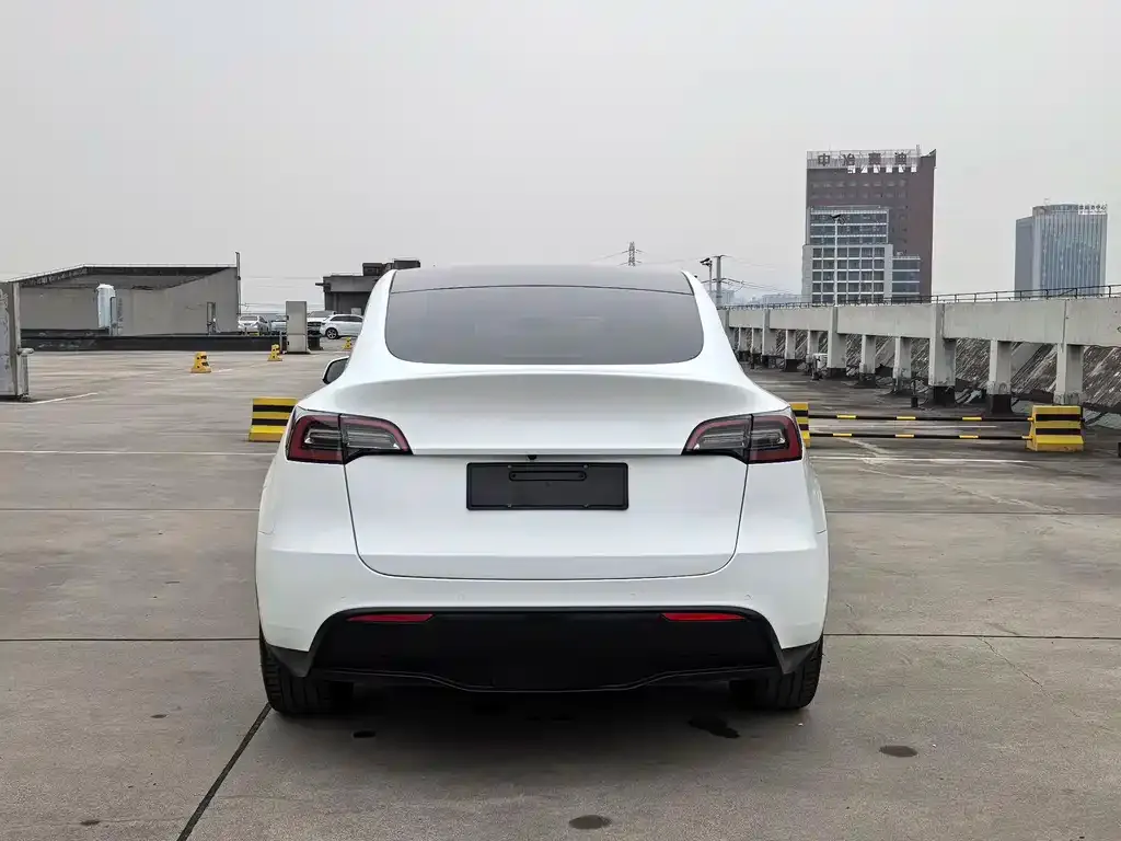 Tesla Model Y 2022 из CN, фото 6