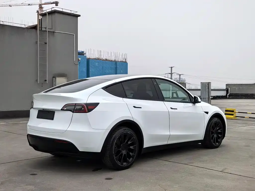 Tesla Model Y 2022 из CN, фото 4