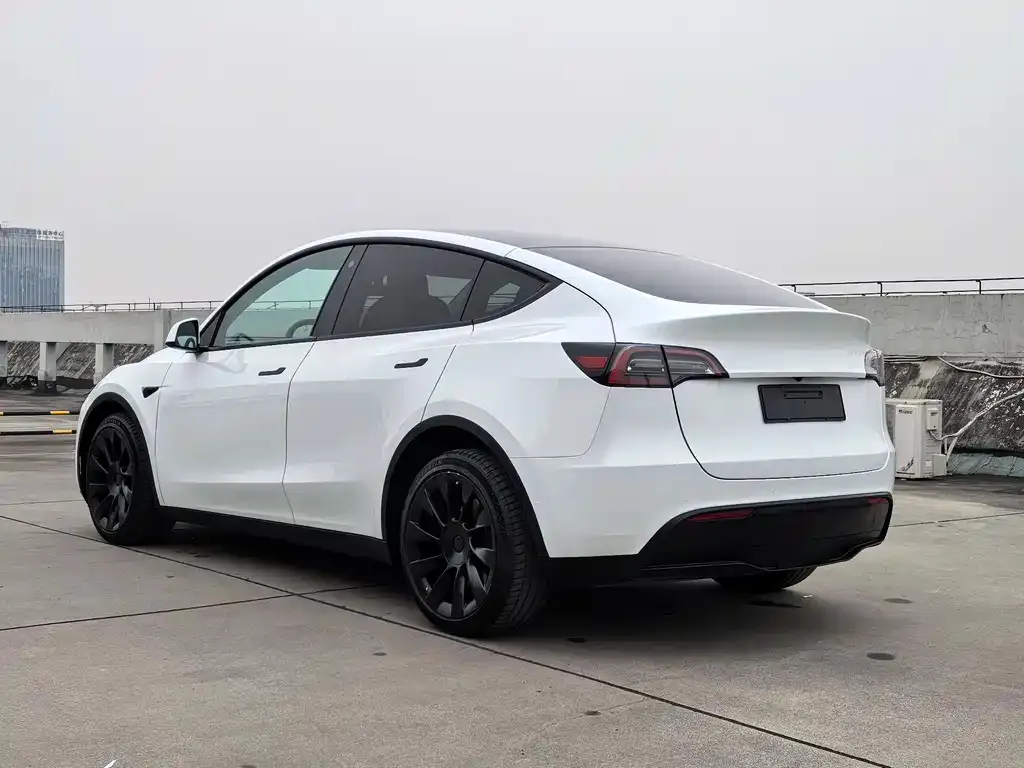 Tesla Model Y 2022 из CN, фото 9